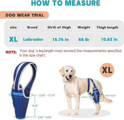 Dog Knee Brace for Torn ACL Hind Leg–Adjustable Support Dog Leg Brace for Back Leg with 2 Stabilizers, Hip Support to Reduces Pain Luxating Patella , Ligament Injuries, CCL (Blue, Right Leg, XL)