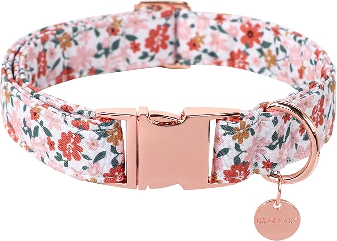 Summer Dog Collar, Little Flower, Cotton with Adjustable Buckle for Small, Medium, Large Dogs