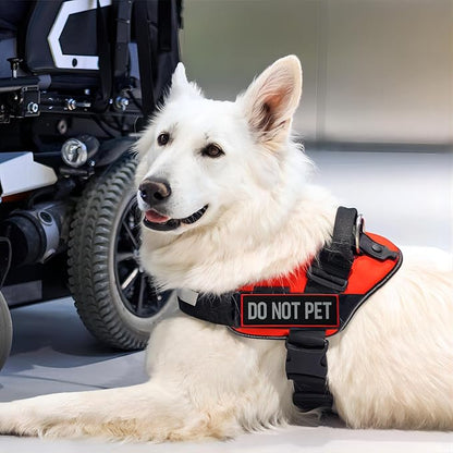 FITZNORA 2 Pcs Reflective Do Not Pet Patch Set with Hook and Loop Fastener, Embroidered Border with Printed Letters Patch for Dog Vest Harness (4.7 x 1.5 inches)