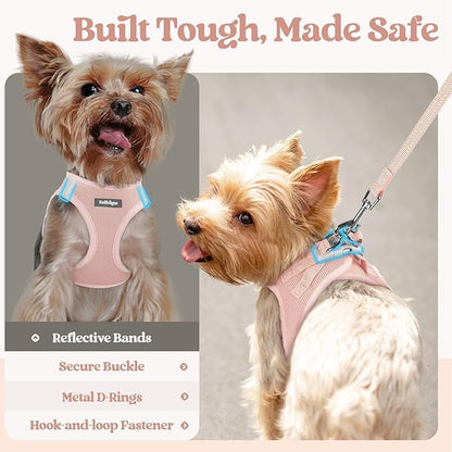 rabbitgoo Dog Harness Small Medium Sized and Leash Set, Step in Soft Light Puppy Vest, Breathable Mesh Pet Harness, Reflective for Safe Outdoor Walking, Pink L