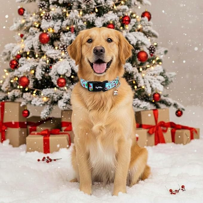 Christmas Dog Collar for Extra Small Dogs, Adjustable Blue Small Dog Collars with Snowman Pattern, Cute Dog Christmas Collar for Dogs, Winter Holiday Dog Collar for Girl Boy Dog-XS