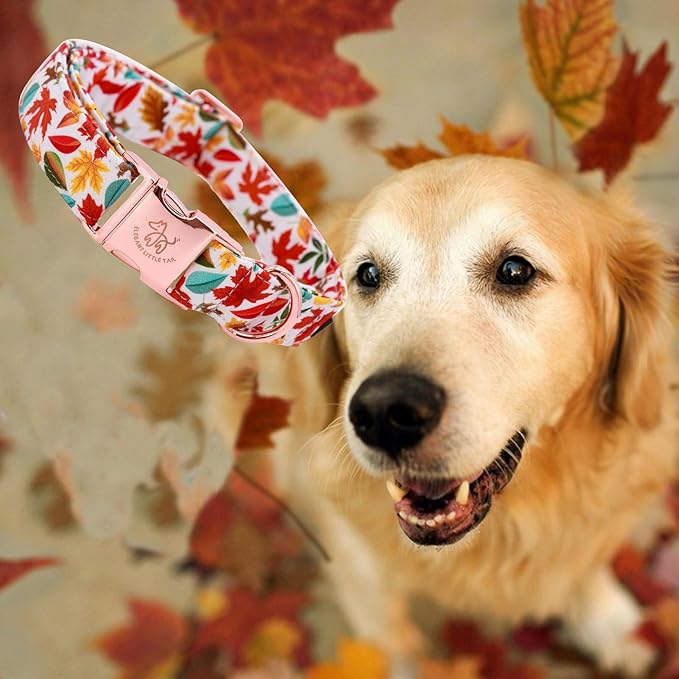 Elegant little tail Fall Dog Collar, Autumn Leaves Pet Collar Durable Dog Collars Male or Female Holiday Pet Gift Adjustable Dog Collar for Medium Dogs