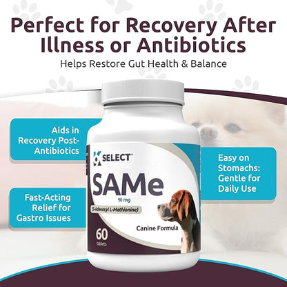 K9 Select Pet Probiotics for Dogs with Inulin – Dog probiotics for Digestive Health & Gut Support with Digestive Enzymes for Dogs, Supports Yeast Balance & Dog Digestive Support – 90 Tablets