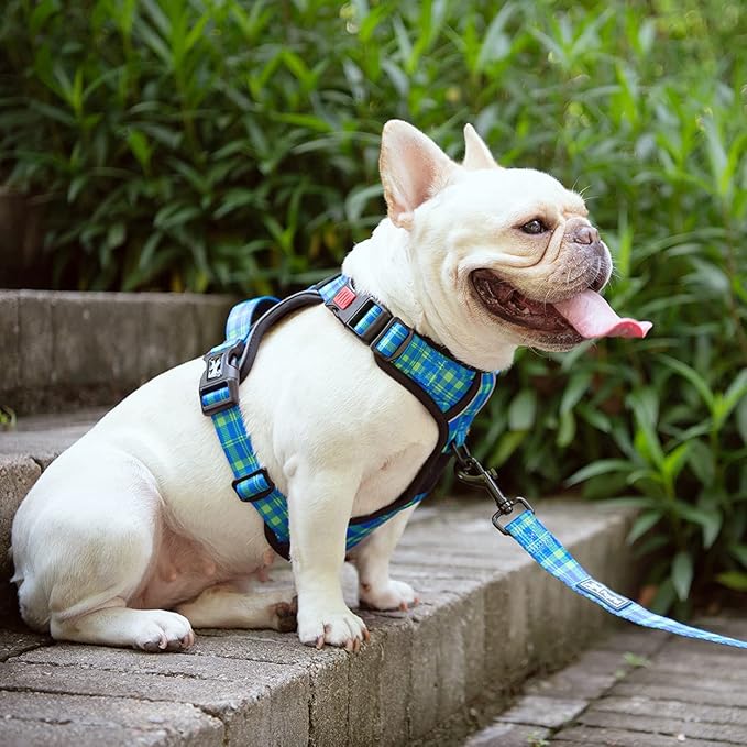 PoyPet No Pull Dog Harness, Reflective Adjustable No Choke Pet Vest with Front & Back 2 Leash Attachments, Soft Control Training Handle for Small Medium Large Dogs(Checkered Blue & Green,L)