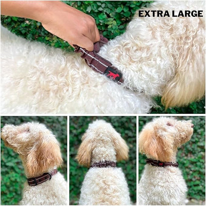 Tuff Pupper Heavy Duty Dog Collar with Handle | Ballistic Nylon Heavy Duty Collar | Padded Reflective Dog Collar with Adjustable Stainless Steel Hardware | Convenient Sizing for All Breeds