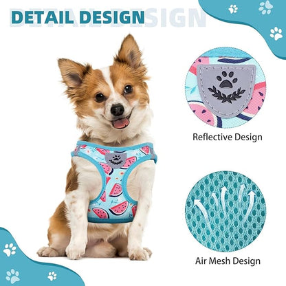 KOOLTAIL Dog Harness and Leash Set for Small Medium Dogs, Step in No Pull Soft Mesh Dog Harness Comfort Padded Pet Vest, Adjustable Reflective Easy Walking Puppy Cats Harness Training, Watermelon S