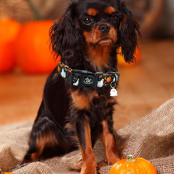 Elegant little tail Halloween Dog Collar, Pumpkin with Ghost Print Black Halloween Pet Collars Cotton Soft Sturdy Puppy Collars Holiday Female Adjustable Collar for Large Dogs