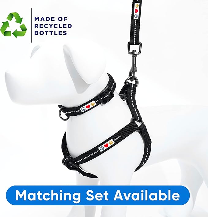 Pawtitas Black Dog Leash 6 ft XS/S Reflective Durable Lightweight Recycled Lead for Small Dogs and Puppies