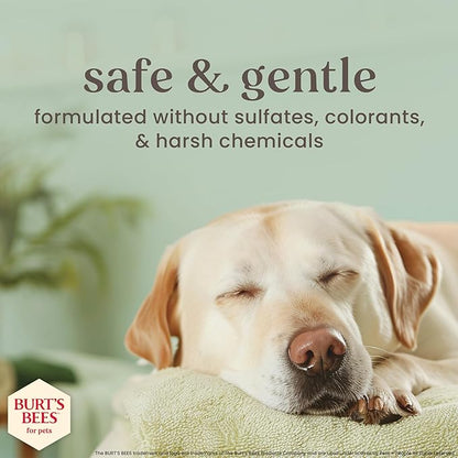 Burt’s Bees for Pets Itch Spray with Manuka Honey and Chamomile for Dogs - Naturally Derived Ingredients, Formulated Without Artificial Fragrances, Sulfates, Colorants, 10 Fl Oz