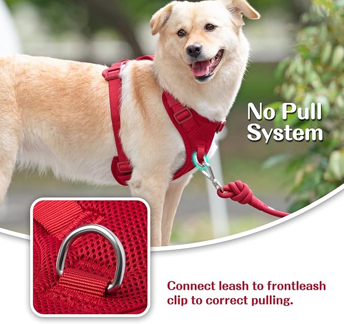 No Pull Dog Harness for Small Medium Large Dogs - Adjustable 2 Layer Mesh Dog Vest with Dual Clip, Escape Proof, Quick Release, Lightweight Breathable Mesh for Walking Hiking (Burgundy Red,S)