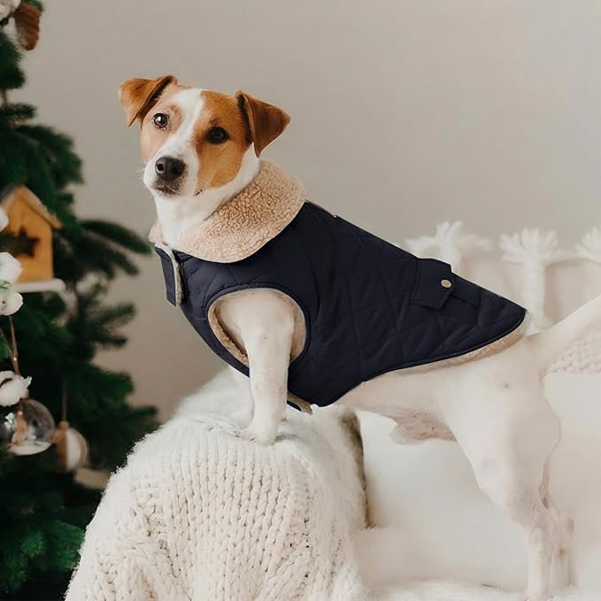 Winter Coat for Small Dogs, Puppy Plaid Jacket, Dog Jacket for Cold Weather, Windproof Warm Garments, Pets Thickened Outfits Indoor Outdoor, NavyBlue S