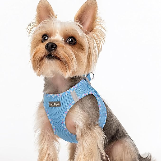 rabbitgoo Small Dog Harness, Step-in Soft Mesh Puppy Vest with Safety Buckle, Breathable Reflective Pet Harness for Small Sized Dogs, Blue & Plaid Trim XS