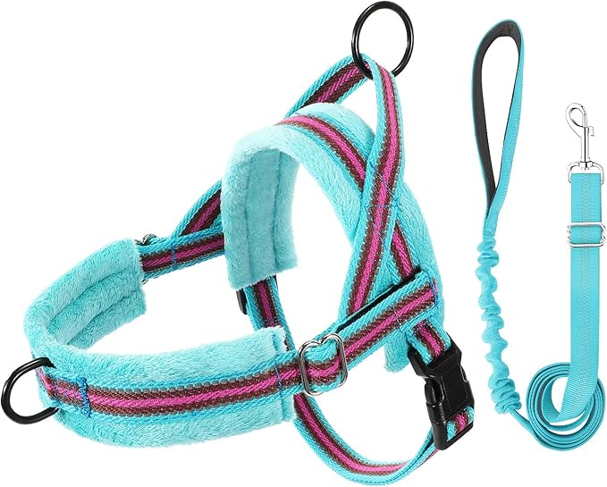 Lukovee No Pull Dog Harness and Leash Set, Soft Padded Small Dog Harness, Neck & Chest Adjustable Reflective Vest Puppy Harness with 4ft Lightweight Anti-Twist Dog Leash for Small Dogs (S, 01-LBL)