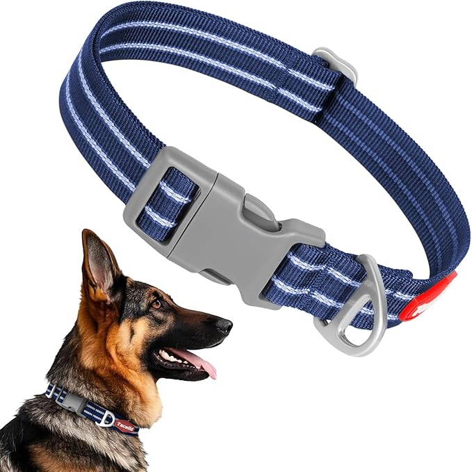 Tacwild Adjustable Reflective Dog Collar, Puppy Collar with D-Ring Buckle - Durable Safety Nylon Dogs Collars for Medium Dogs (Blue-M)