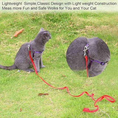 AMAGOOD 6 FT Puppy/ Dog Leash, Strong and Durable Traditional Style Leash with Easy to Use Collar Hook, Great for Small, Medium and Large Dogs (5/8 in x 6 ft, Black and Red (2-Pack))