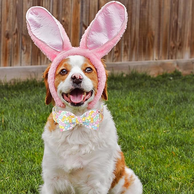 Unique Style Paws Easter Dog Collar with Bow Blue Colorful Rabbit Easter Heart Cotton Polyester Puppy Collars for Small Medium Large Dogs