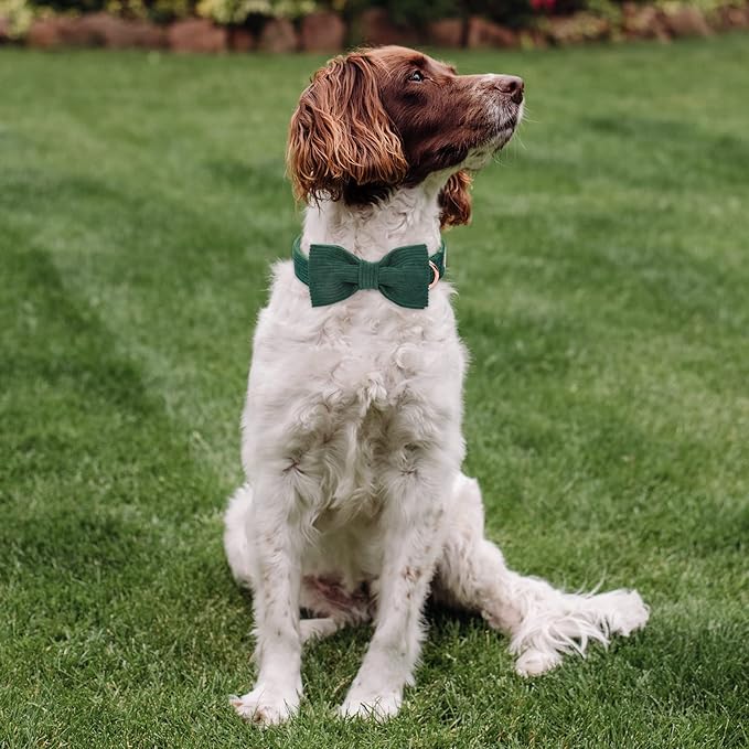 Green Dog Collars for Medium Dog,Cute Corduroy Dog Collar with Bow Tie Safety Metal Buckle Adjustable Puppy Collars for Small Medium Large Boy&Girl Dogs,M-Neck 13.5"-22"