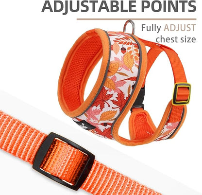 PUPTECK Soft Mesh Dog Harness and Leash Set Pet Puppy Cat Comfort Padded Vest No Pull Harnesses, Orange Leaf, S
