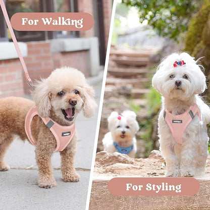 rabbitgoo Small Dog Harness, Step-in Soft Mesh Puppy Vest with Safety Buckle, Breathable Reflective Pet Harness for Small Medium Dogs, Pink L
