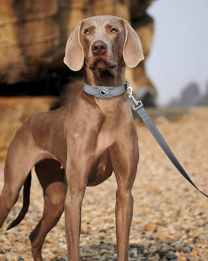 6FT Reflective Nylon Dog Leash with Soft Padded Handle for Walking, Running and Training, Supports Small Medium and Large Dogs (Grey, 1 Inch Wide)