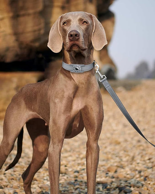6FT Reflective Nylon Dog Leash with Soft Padded Handle for Walking, Running and Training, Supports Small Medium and Large Dogs (Grey, 3/4Inch Wide)