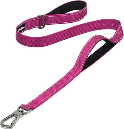 PetiFine 4FT Heavy Duty Dog Leash with Soft Padded Double Handle, Durable Strong Clasp Dog Leashes, Reflective Nylon Walking Lead for Large,Medium,Small Breed Dogs, Rose