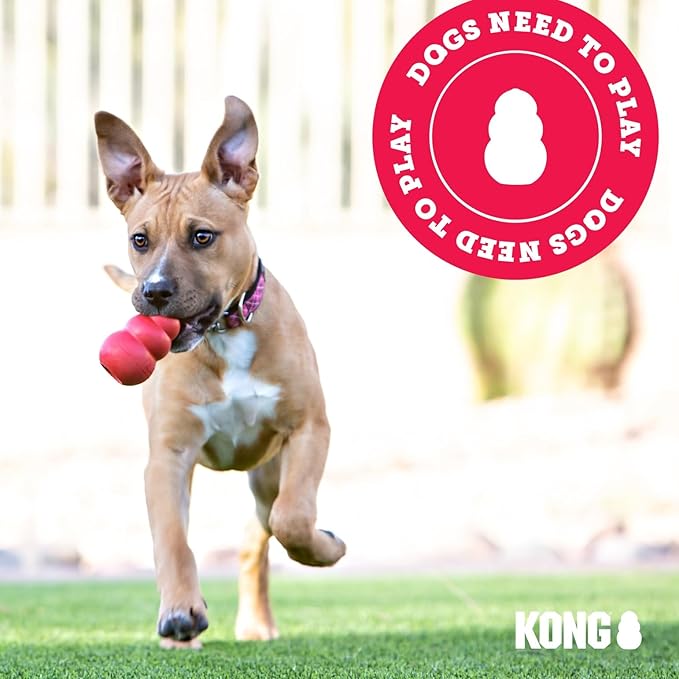 KONG Classic Stuffable Dog Toy - Fetch & Chew Toy for Dogs - Treat-Filling Capabilities & Erratic Bounce for Extended Play Time - Durable Natural Rubber Material - for Small Dogs