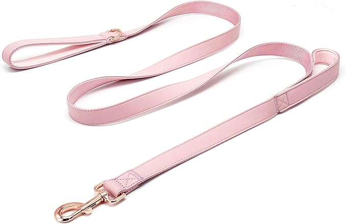 Dog Leash 6ft Long,Traffic Padded Two Handle,Heavy Duty,Double Handles Lead for Control Safety Training,Leashes for Large Dogs or Medium Dogs,Dual Handles Leads (Pink, 25MM*6FT)