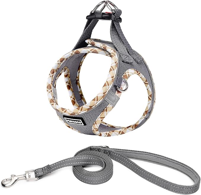 Mercano Soft Mesh Dog Harness and Leash Set, No-Chock Step-in Reflective Breathable Lightweight Easy Walk Vest Harnesses with Safety Buckle for Small Dogs, Cats (Grey, L)