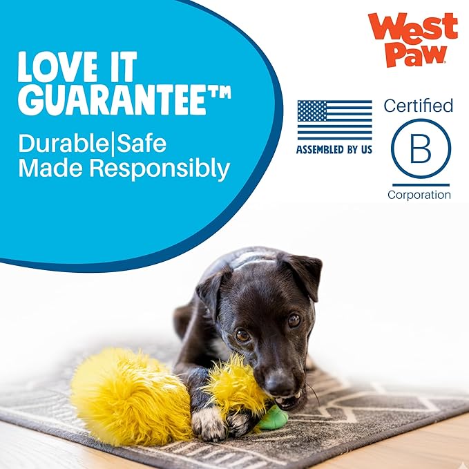 WEST PAW Rowdies Helga Durable Plush Dog Toy with Reinforced Seams Chew Resistant HardyTex Fabric and Interactive Squeaker for Safe Indoor and Outdoor Playtime Bundle for Dogs - Seafoam