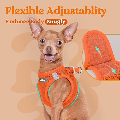 rabbitgoo Small Dog Harness, Step-in Soft Mesh Puppy Vest with Safety Buckle, Breathable Reflective Pet Harness for Small Sized Dogs, Orange XS