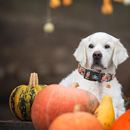 Elegant little tail Halloween Dog Collar, Pumpkin with Flower Print Fall Pet Collars Cotton Soft Sturdy Puppy Collars Holiday Female Adjustable Collar for Small Dogs