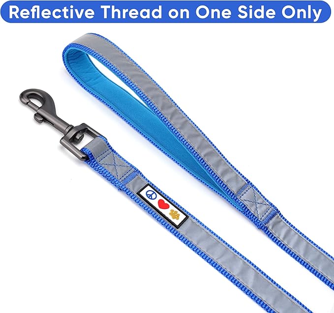 Pawtitas 6 FT Padded Dog Leash with Comfortable Neoprene Padding Handle - Blue Lead | Medium Reflective Dog Leash with Highly Reflective Band Perfect for Medium and Large Dogs and Puppies.
