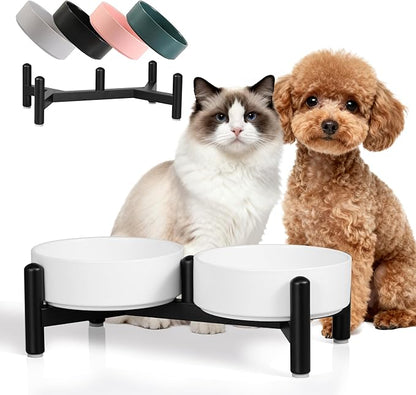 Raised Ceramic Dog Bowl Set - Elevated Double Dishes with Stainless Steel Stand - Food and Water Bowls for Small Dogs and Indoor Cats - Each Holds 2.1 Cups (14 fl oz) - White
