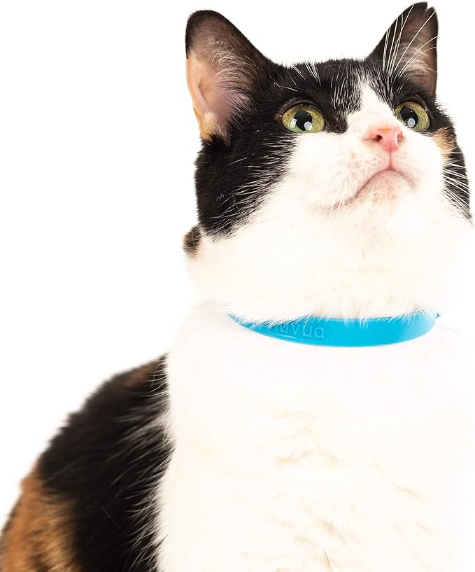 Nuvuq Breakaway Cat Collar - Soft, Comfortable, and Lightweight Safety Buckle Collar with ID Tag Ring for Outdoor Cats and Sensitive Skin Kittens (6 ⅞" to 10 ¼", Blue)