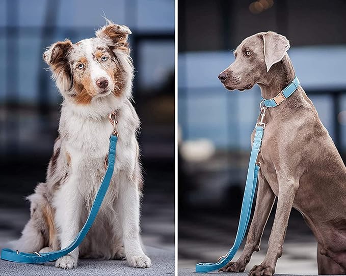 Soft Leather Dog Collar and Leash (6.6') Set - Stylish Rose Gold Heavy Duty Metal Buckle, 4 Adjustable Lengths Leash for Small Medium Large Dogs - Comfortable & Easy to Clean Light Blue M(13.8"-19.7")