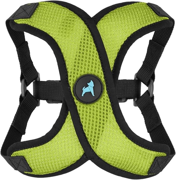 Gooby Comfort X Step in Lite Dog Harness - Choke Free, Escape Free with Light Breathable Mesh - Step in Dog Harness for Small Dogs Only - Quick Release Buckle, Metal D-Rings - Green, Medium