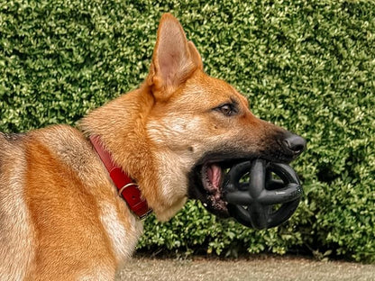 Tuff Pupper SuperChewer Extremely Tough Cage Ball for Dogs | 2X Tennis Ball Size | Natural Rubber | Tough Toy for Aggressive Chewers | Heavy Duty for Medium Large Breed | Strong but NOT Indestructible