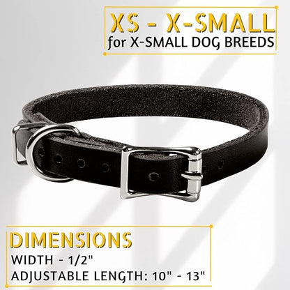 ADITYNA Extra-Small Leather Dog Collar for XS Dogs - Classic, Soft, Strong, Heavy Duty, Handmade Top-Grain Leather - for Walking, Training, and Hiking