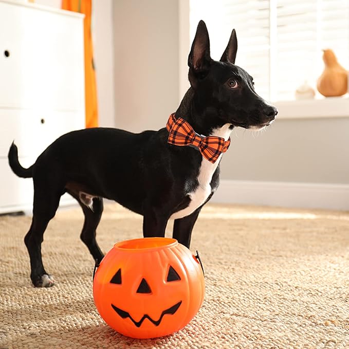 ARING PET Dog Collar, Cute Fall Dog Collar with Bow, Adjustable Halloween Orange Grid Bowtie Dog Collars Gift with Metal Buckle for Small Medium Large Dogs