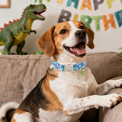 DOGWONG Blue Dog Collar Adjustable Soft Natural Fabric Boy Pet Dog Collar Cute Dinosaur Dog Collars for Small Medium Large Dogs