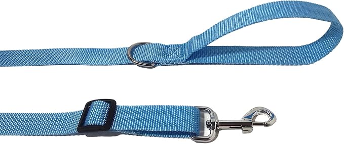 6FT/ 10FT Adjustable Dog Leash, Nylon Dog Leashes for Medium Large Dogs (6FT, Sky Blue)