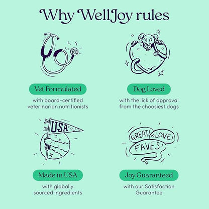 New! WellJoy Dog Treat Dental+ GutBoost | Helps Reduce Tartar | Freshens Breath | Dual-Benefit GutBoost Formulation | Vet Formulated | Made in USA | Made with Real Shredded Chicken | 24 Sticks