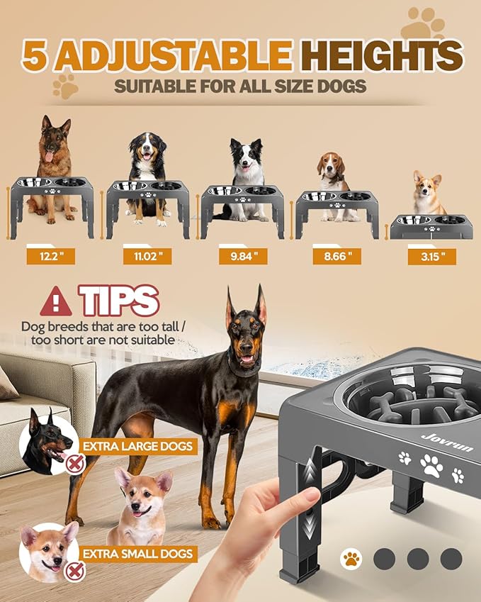 Elevated Dog Bowls, Dog Feeder with 1*Stainless Steel Dishes & 1*Slow Feeder Bowl, 5 Heights Adjustable Raised Stand for Medium Large, Food Dishes with Non-Slip Feet