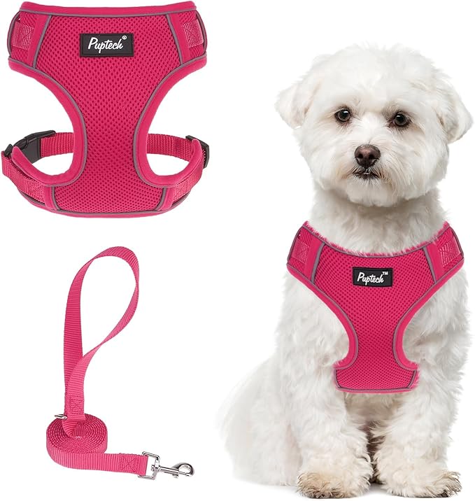 PUPTECK Small Dog Harness and Leash Set, No Pull Adjustable Puppy Cat Harness, Reflective Soft Mesh Pet Vest Small Sized, Fuchsia, M