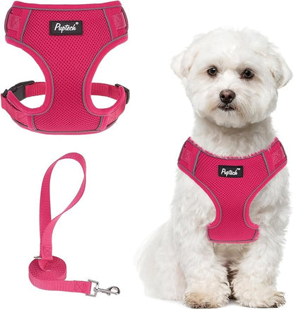 PUPTECK Small Dog Harness and Leash Set, No Pull Adjustable Puppy Cat Harness, Reflective Soft Mesh Pet Vest Small Sized, Fuchsia, M