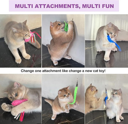 Cat Toys for Indoor Cats, 11PCS Interactive Cat Toy Wand Pack, 2 Retractable Cat Wand & 7PCS Worm Teaser Refills, Plush Fish Kitten Toys, Cat Feather Fishing Pole Toy for Play Chase Exercise