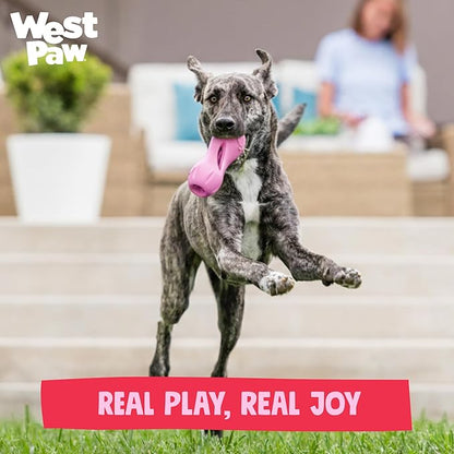 WEST PAW Zogoflex Qwizl Dog Puzzle Treat Toy – Interactive Chewing for Dogs – Dispenses Pet Treats – Brightly-Colored Dog Enrichment Toy for Aggressive Chewers, Fetch, Catch, Large 6.5", Bubblegum