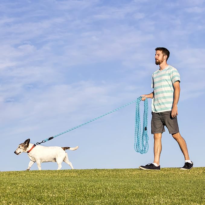 Long Dog Leash for Training 15Ft-Reflective Nylon Rope with Swivel Hook-Recall Agility Lead for Large Small Medium Dogs Outside Walking Hiking-Sky Blue