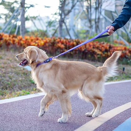 Hyhug Pets 24 Inches Nylon Durable Short Leash with Comfort Handle and Lightweight Aviation Aluminium Carabiner Lead - Large Dogs Walking,Training. (24 Inches, Ultra Violet)
